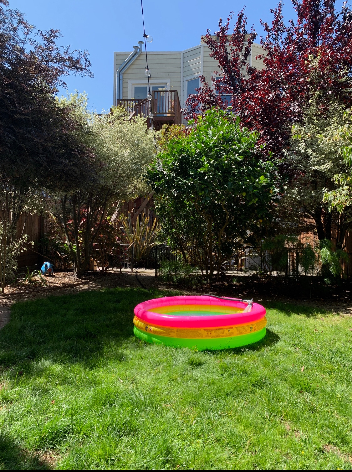 Building Photo - 1866 Golden Gate Ave