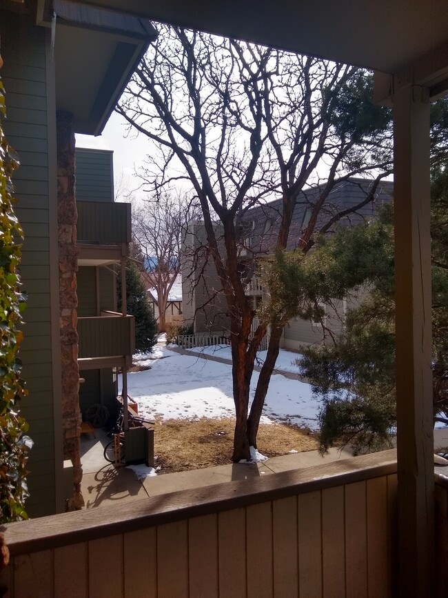 south view from deck - 3315 Chisholm Trail
