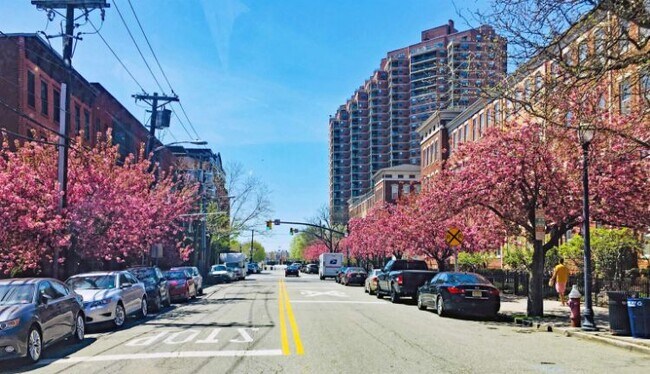 Building Photo - 66 Morris St