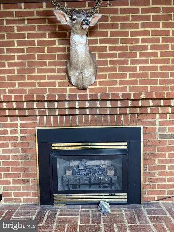 Building Photo - 8 English Oak Cir