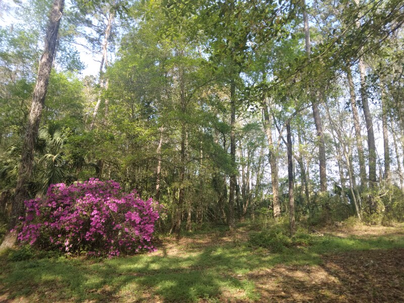 Building Photo - 8035 NW 120th St