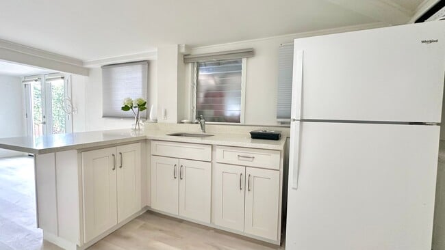 Building Photo - Available NOW - Newly Renovated Studio wit...