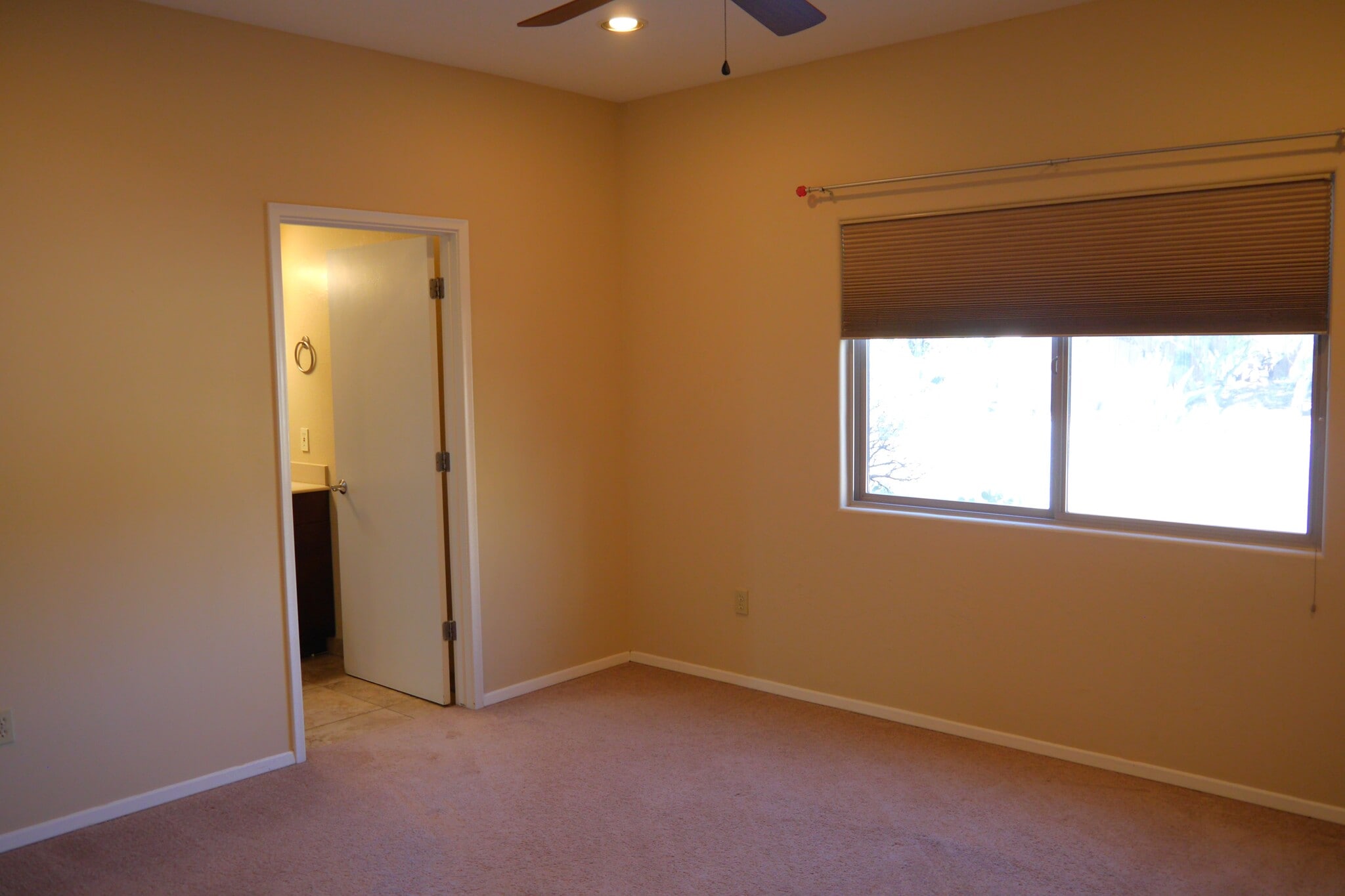 Building Photo - 6510 N Camino Arturo