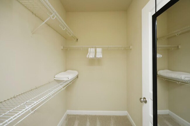 Building Photo - 2431 Brisbane Woods Way