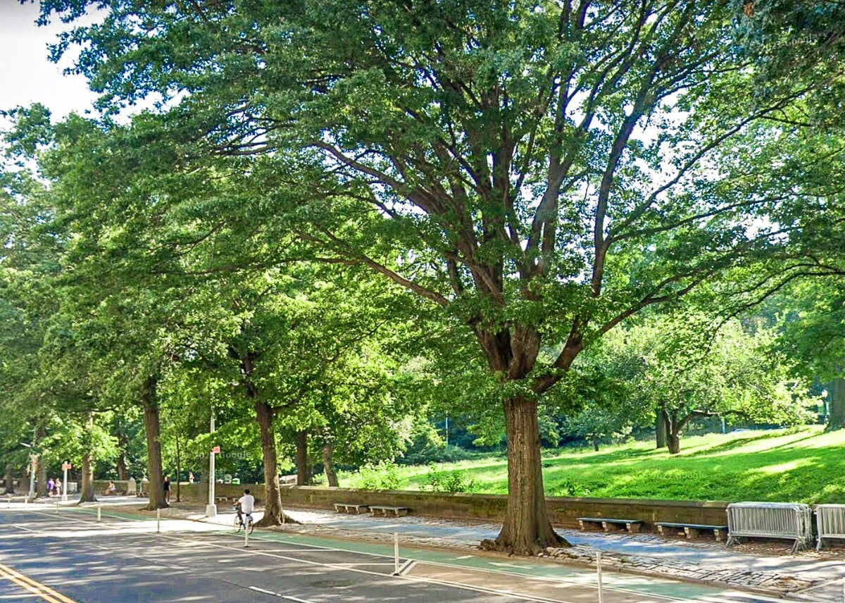 Building Photo - Central Park West