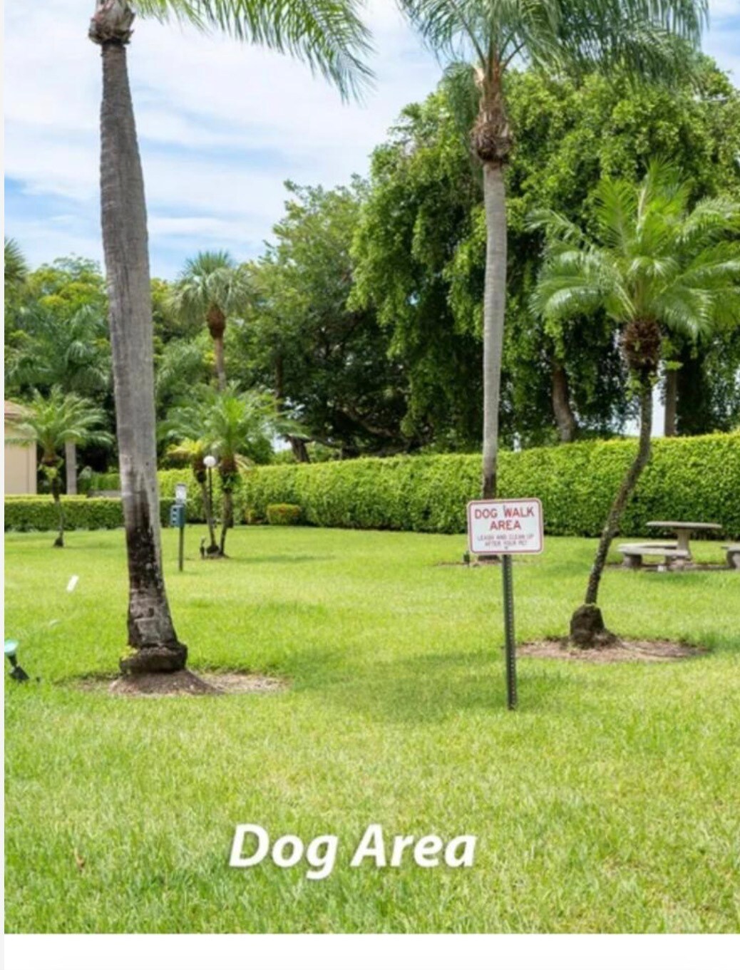 Dog walking - 9521 Boca Cove Cir