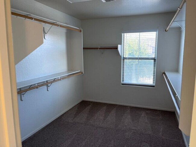 Building Photo - 5 bed 3 bath 3 car garage in San Tan Valley
