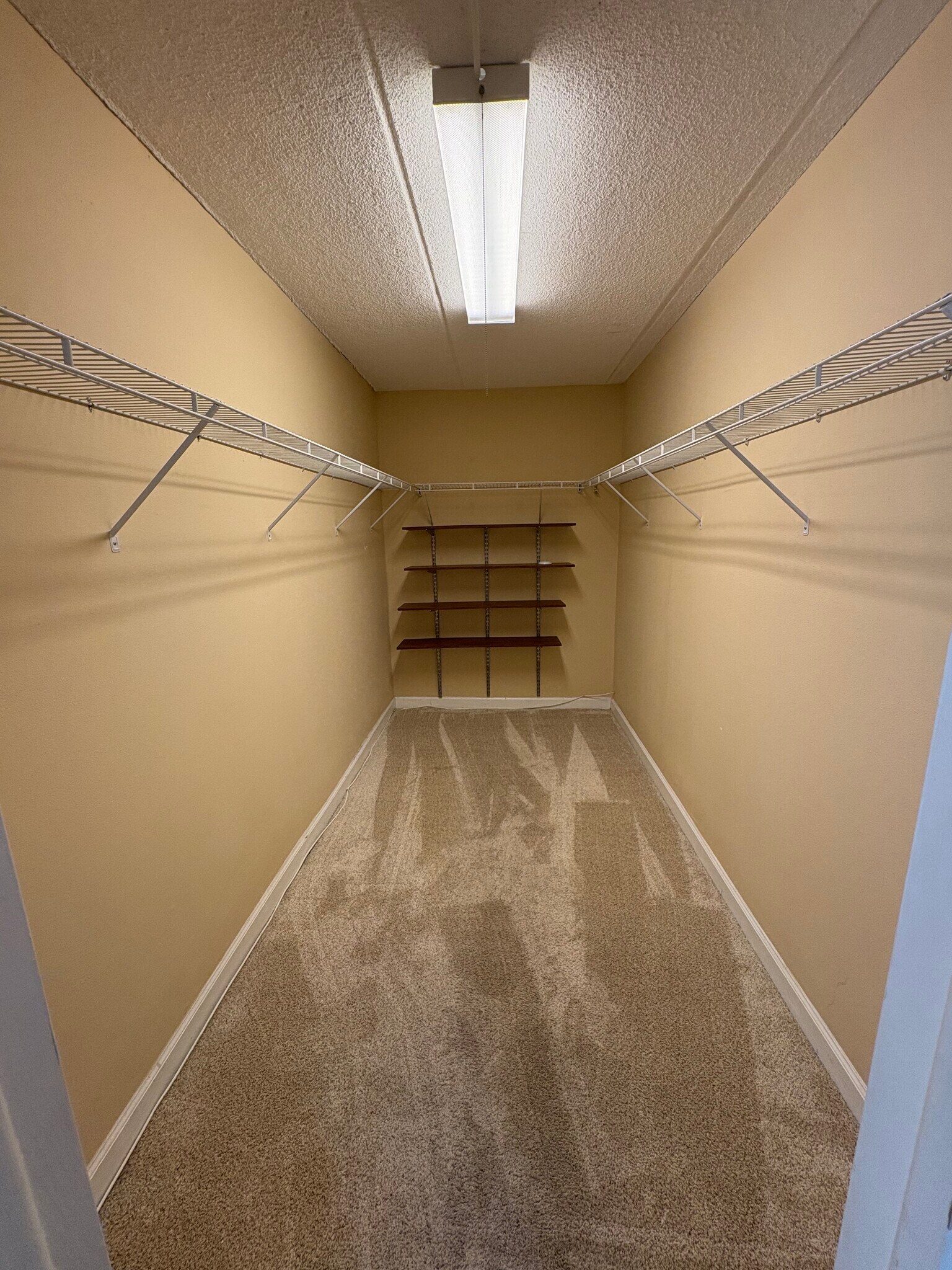 Huge walk in closet - 108 Alameda Ct