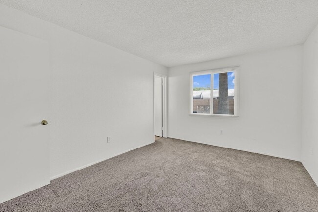 Building Photo - Great 3 bed 2 bath home with a pool!