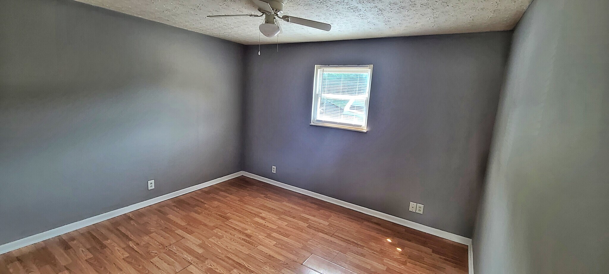 Building Photo - 1519 Steadmantown Ln