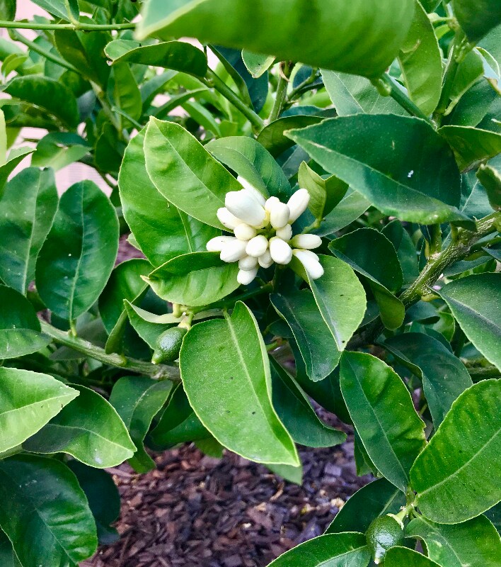 Building Photo - 5410 Princeton St