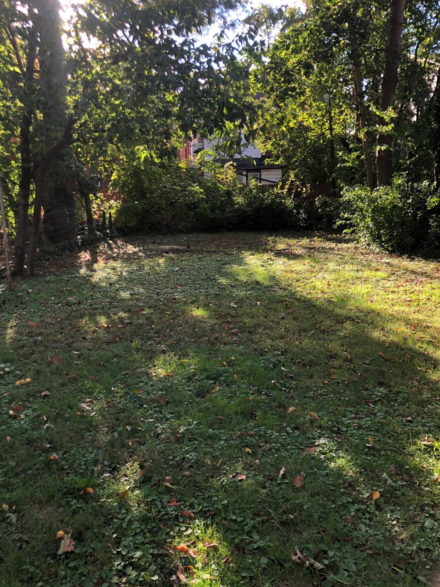 Flat shared backyard space - 510 S Trenton Ave