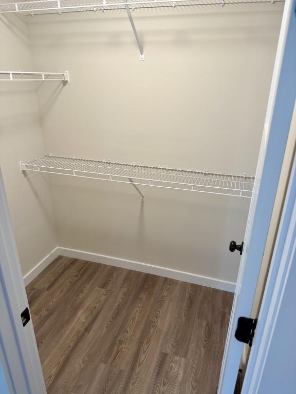 Building Photo - 115 Otts Shoals Rd