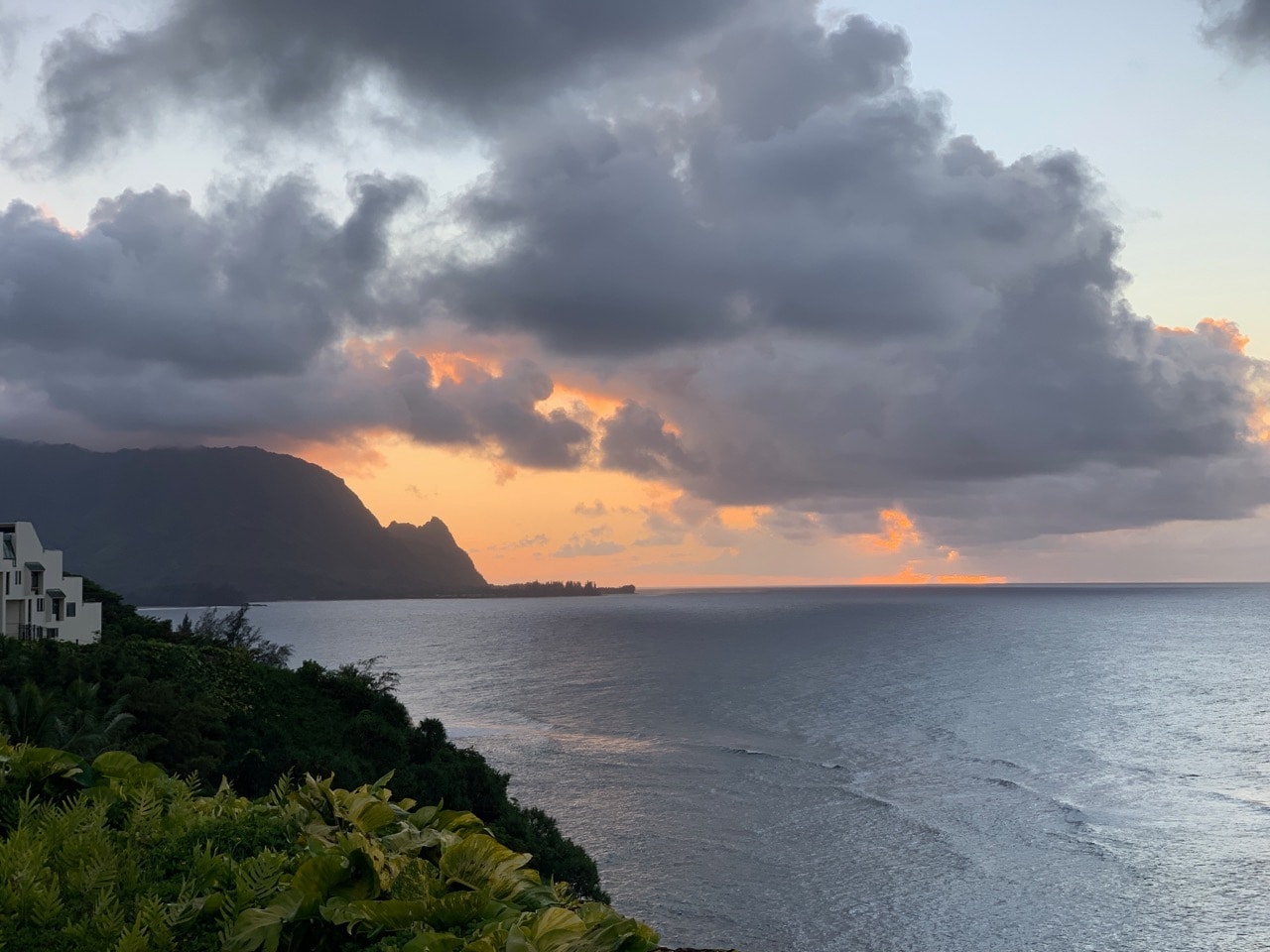 Building Photo - 3795 Kelii Pl