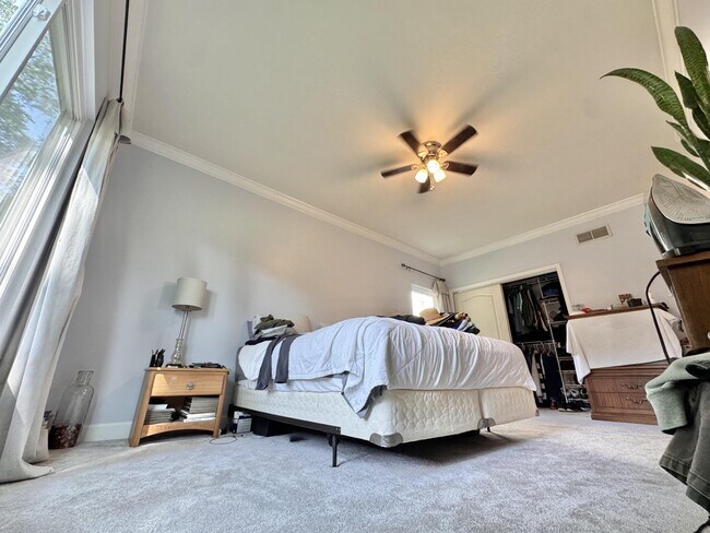 Building Photo - 800 Palomino Ln
