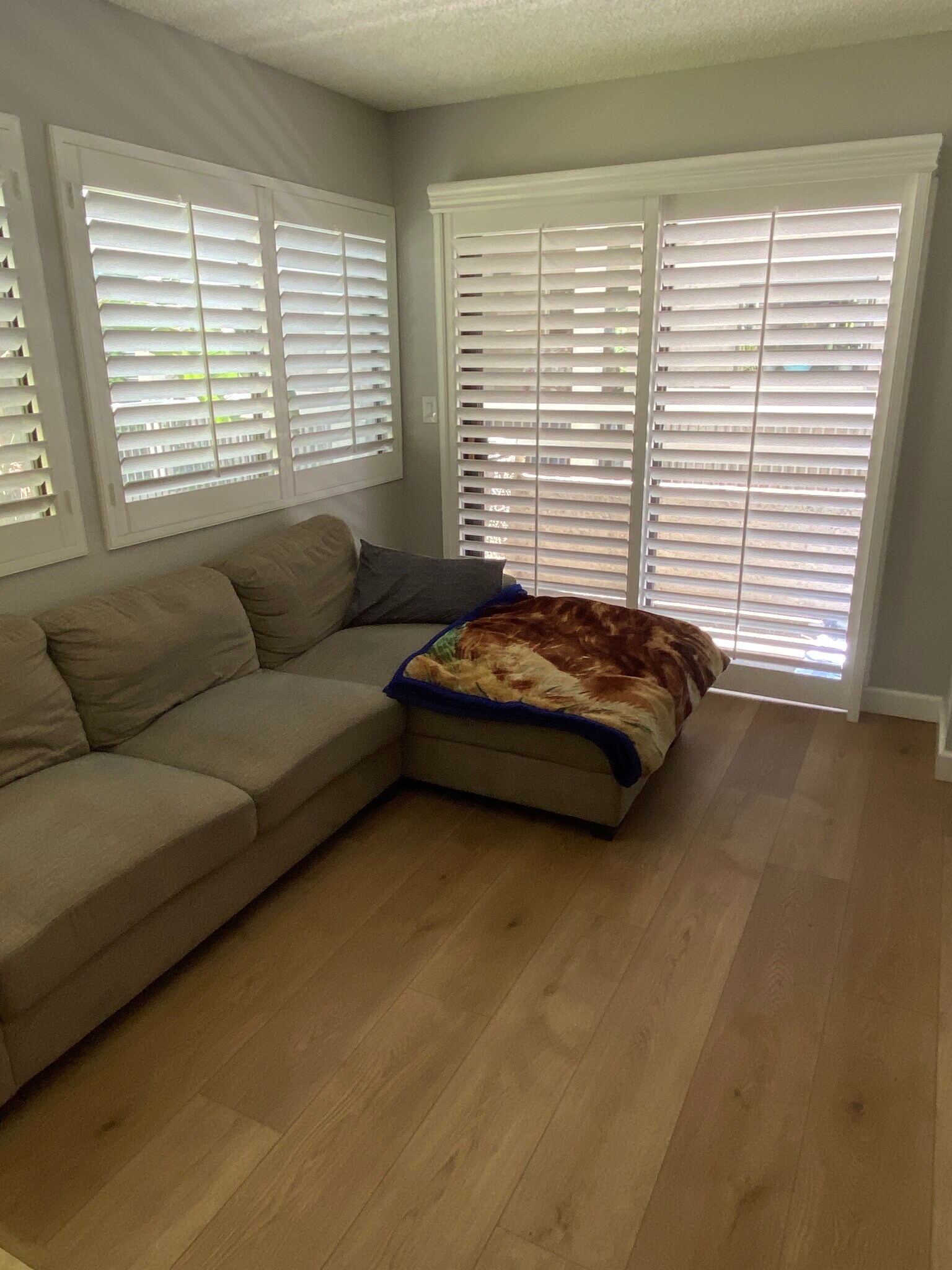 Living Room - 365 W Alameda Ave