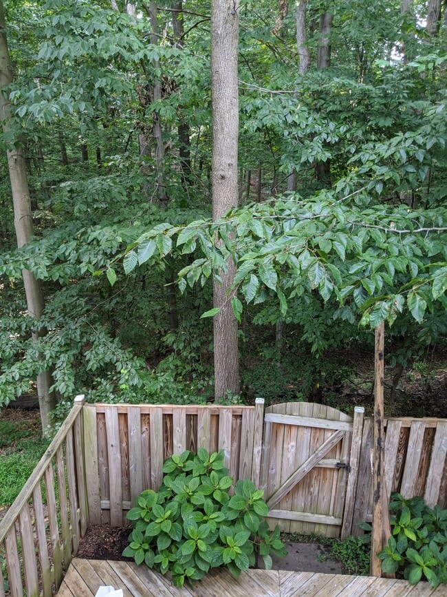 Building Photo - 13533 Ambassador Dr