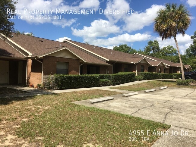 Primary Photo - Citrus Park Apartments - 2BR/1BA unit