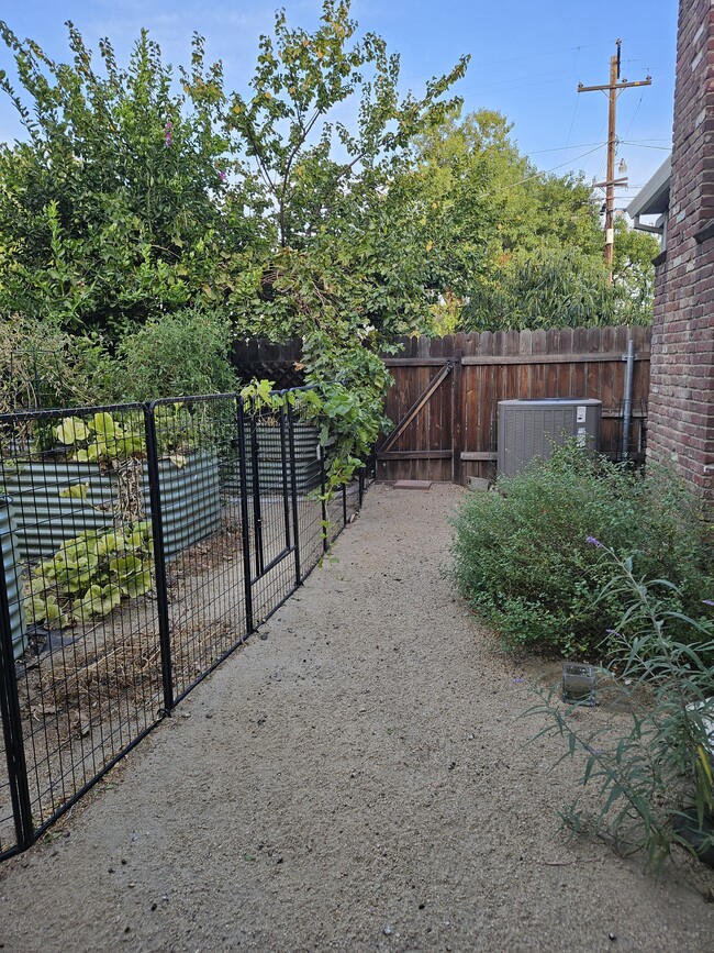 Side yard with raised beds - 5334 44th St