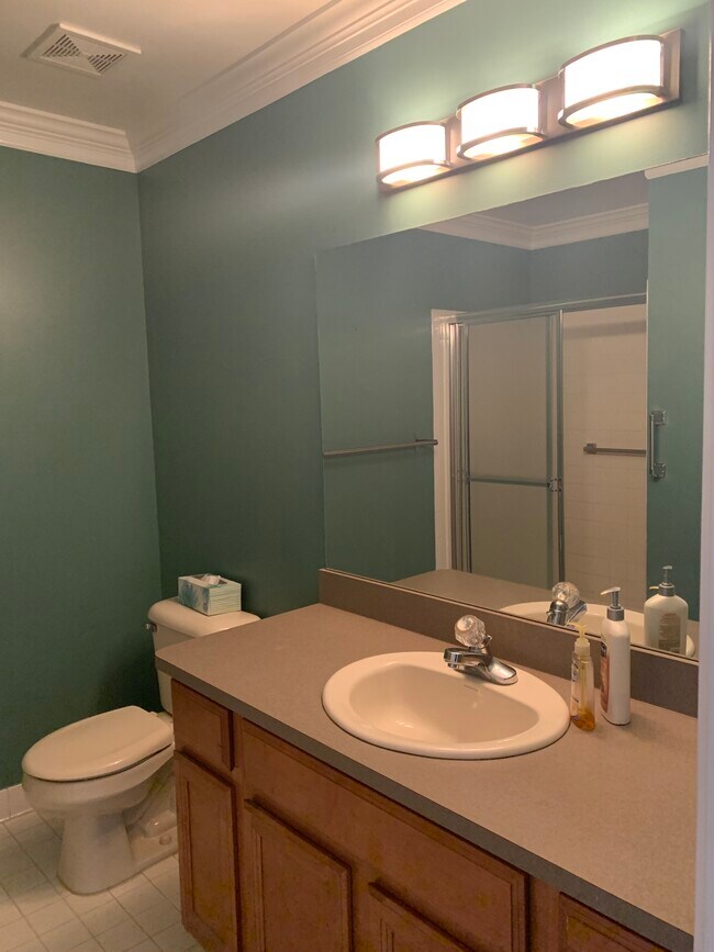 Master full bathroom with shower - 51870 Adler Park Dr E