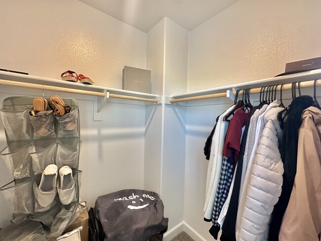 Building Photo - Brand New 3-Story Townhome In Otay Mesa!