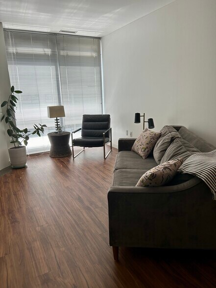 Living Area - 819 Virginia St