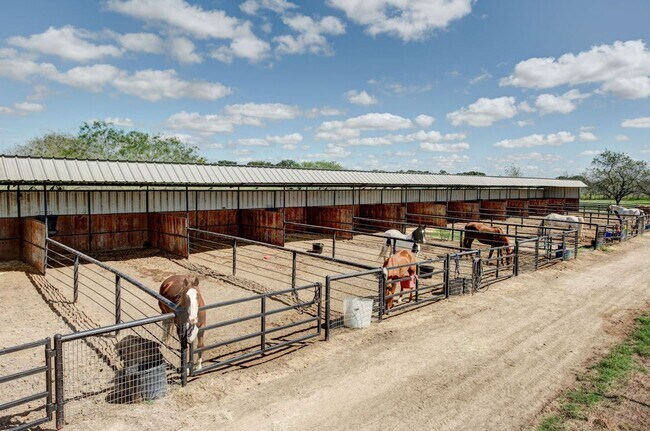 Building Photo - College Station home with stalls and arena on site!