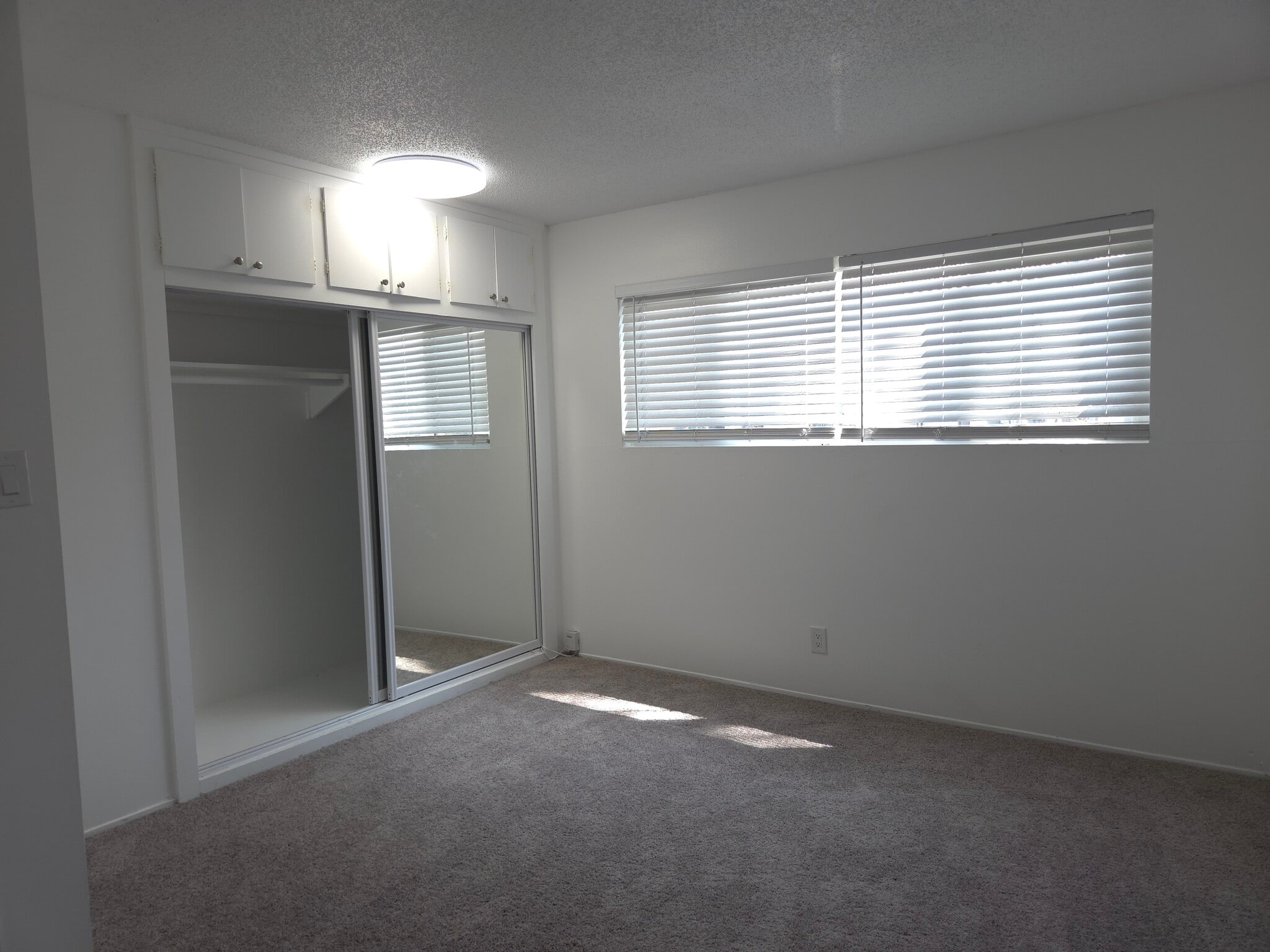 Bedroom 2 with new carpet - 3455 Elm Ave