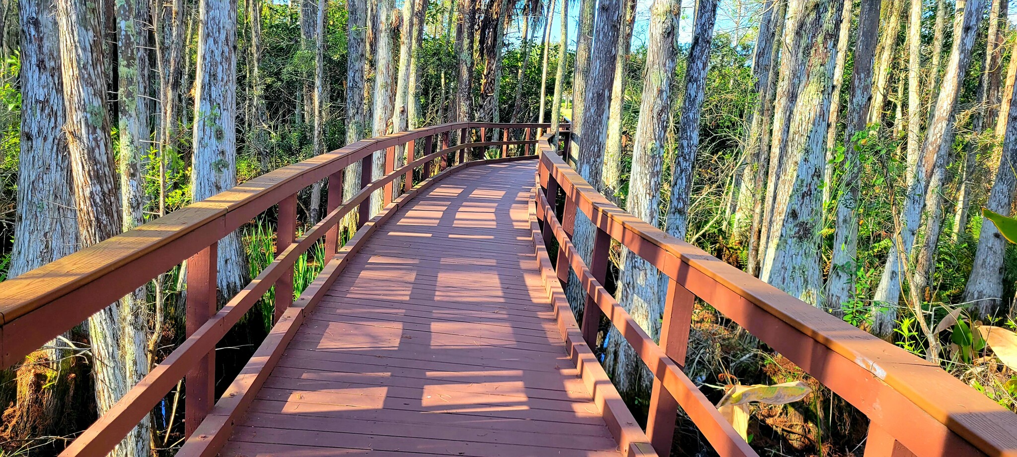 Building Photo - 10021 Colonial Country Club Blvd