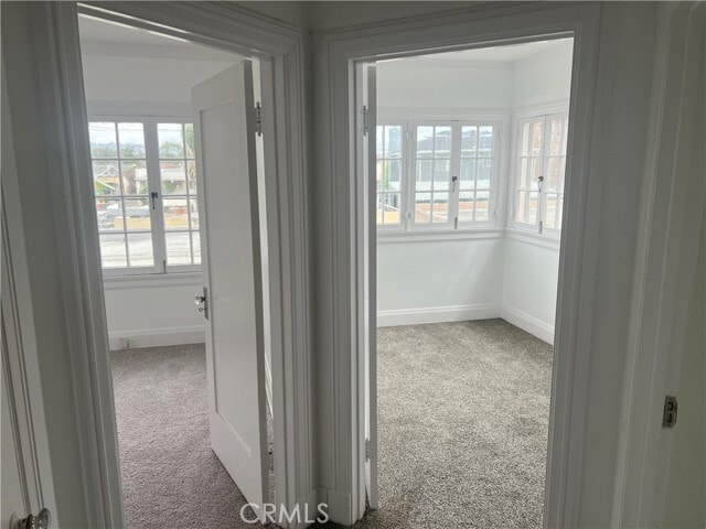 Building Photo - 4429 Victoria Park Dr