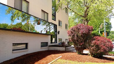 Building Photo - 211 Springfield by Royse + Brinkmeyer