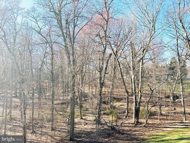 Building Photo - 12304 Quince Valley Dr