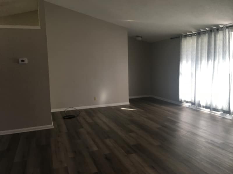 Building Photo - 703 Carriage Ct