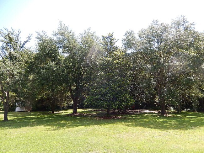 Building Photo - LOVELY 4/2.5 in Buck Lake Area on 1 Acre w/ 2 Car Garage, Washer/Dryer, Lawn Maint, & 2228 sq ft!...