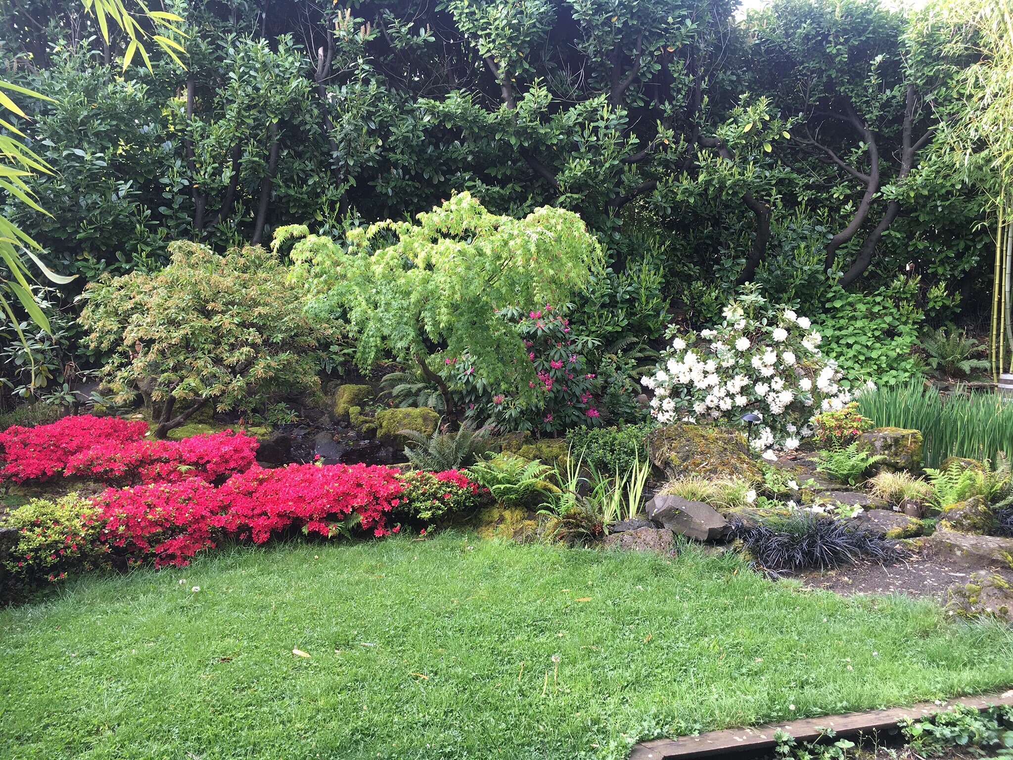 landscaping by koi pond - 1114 SE 30th Ave