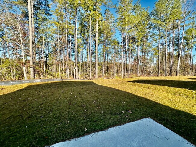 Building Photo - Beautiful New Four Bedroom Home in the Retreat at East Argent!