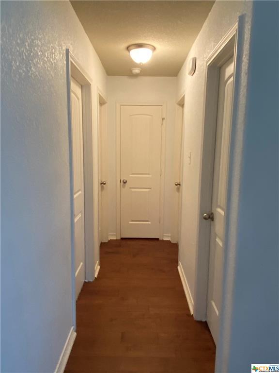 Building Photo - 6203 Brushy Creek Dr