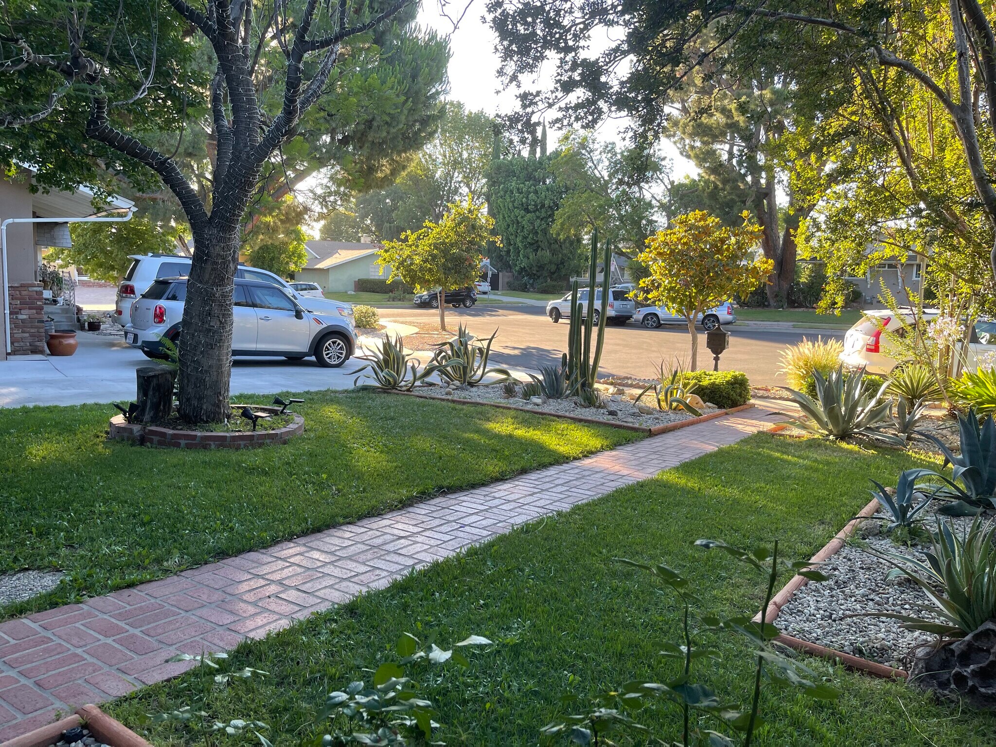 Front Lawn - 16420 Minnehaha St