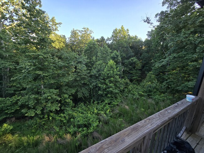 Building Photo - 200 Towne Overlook Dr