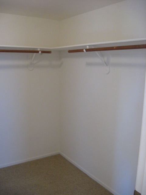 Building Photo - Lovely home in the heart of Green Valley Ranch.