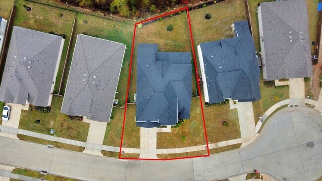 Building Photo - 29021 Red Lp Dr