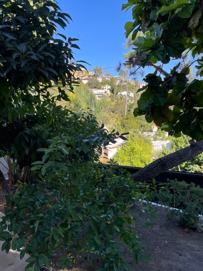 Building Photo - 2250 La Granada Dr