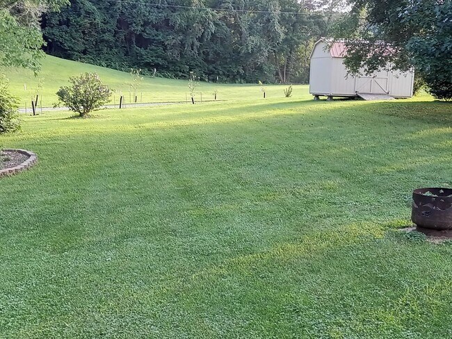 Building Photo - 4 Bedroom / 2 Bath Home - Johnson City, TN