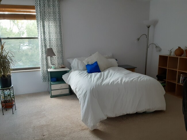 Primary Bedroom - 2227 Canyon Blvd
