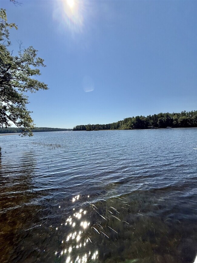 Building Photo - 164 Pine Point Rd