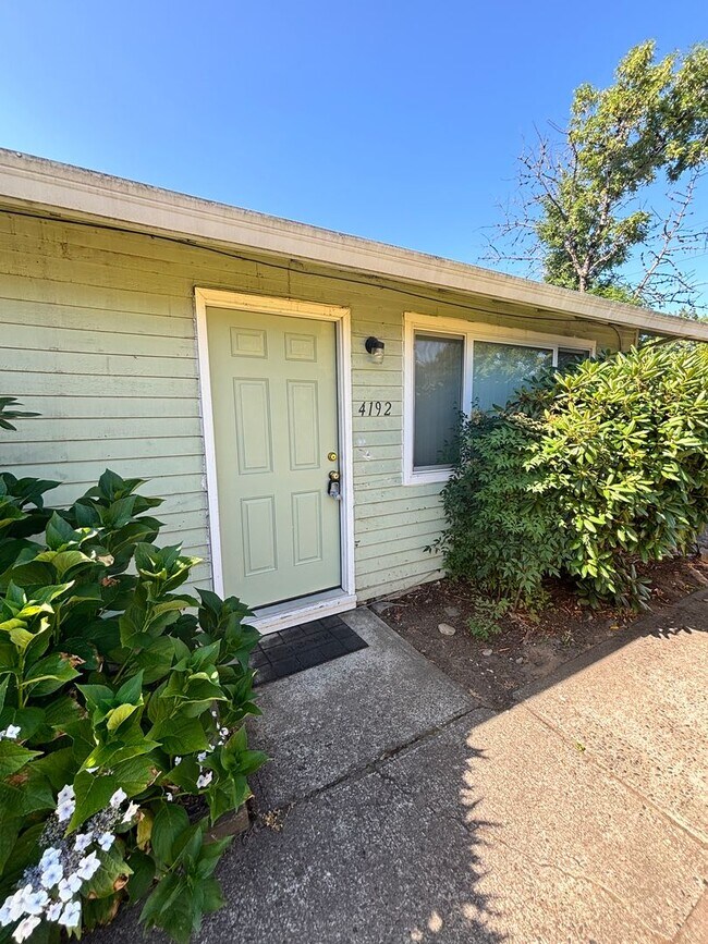 Primary Photo - HOLM-4192SW17