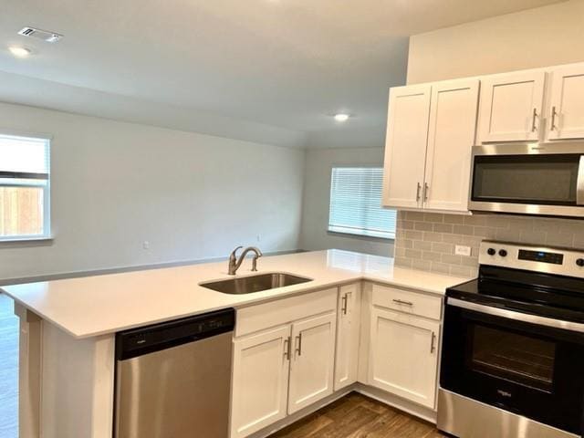 Building Photo - 803 Pease River Wy