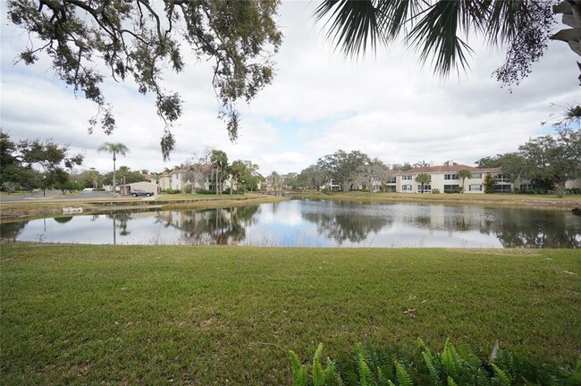 Building Photo - 10330 Carrollwood Ln