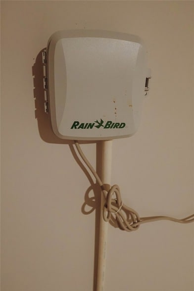 Building Photo - 8538 Blueberry Ash St