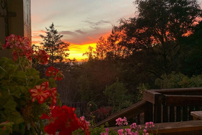 Building Photo - Los Gatos Mountain Living at its Best! Gated 1 Acre lot! Spacious 5 bedroom House! Pool!